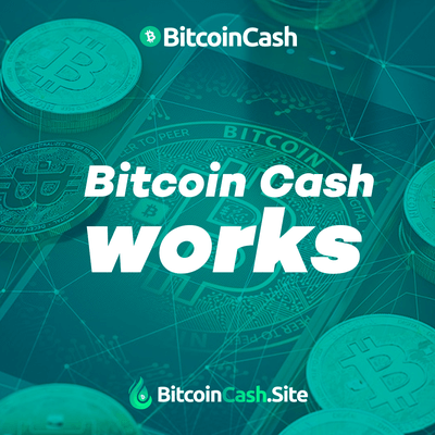 Bitcoin Cash Works